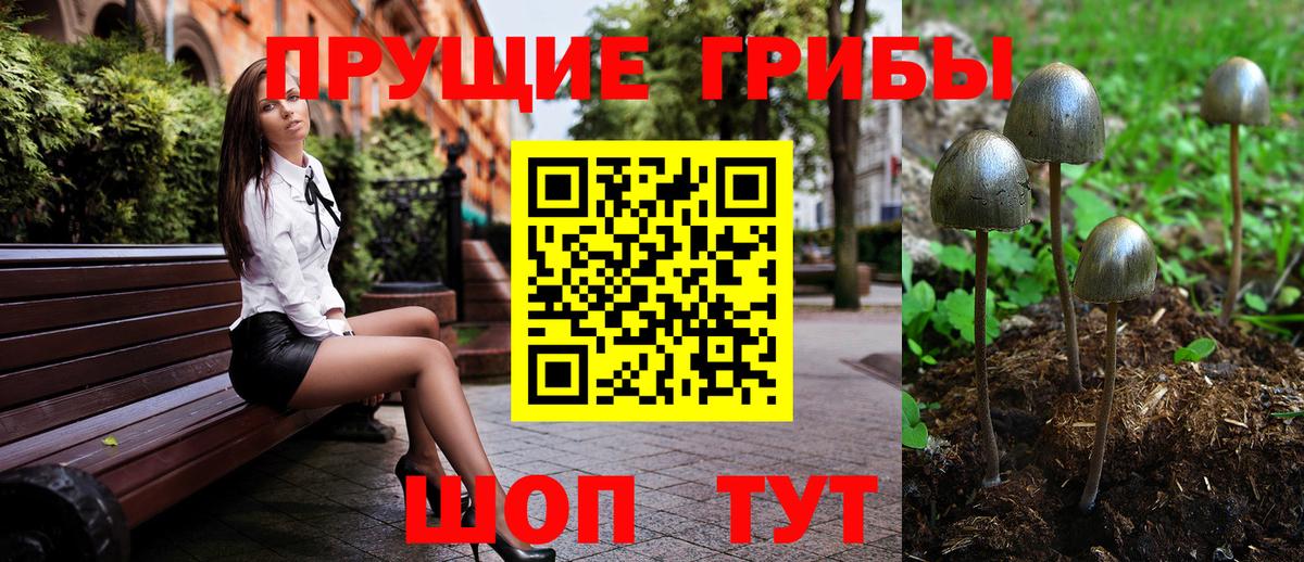 Псилоцибиновые грибы прущие грибы  Вход с VPN  Псилоцибиновые грибы мухоморы  что такое наркотик  Шарыпово 
