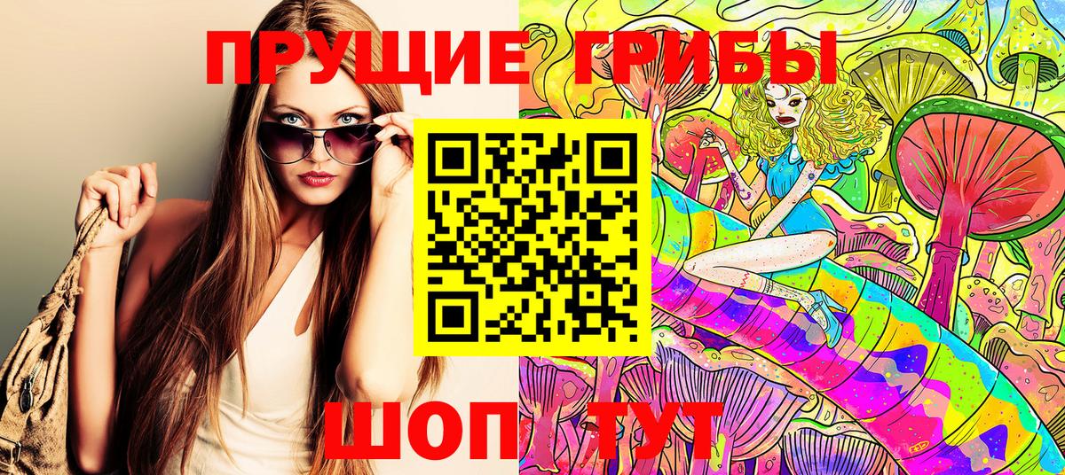 Псилоцибиновые грибы мицелий Шарыпово